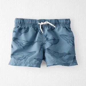 Blue Whale Print Swim Shorts
